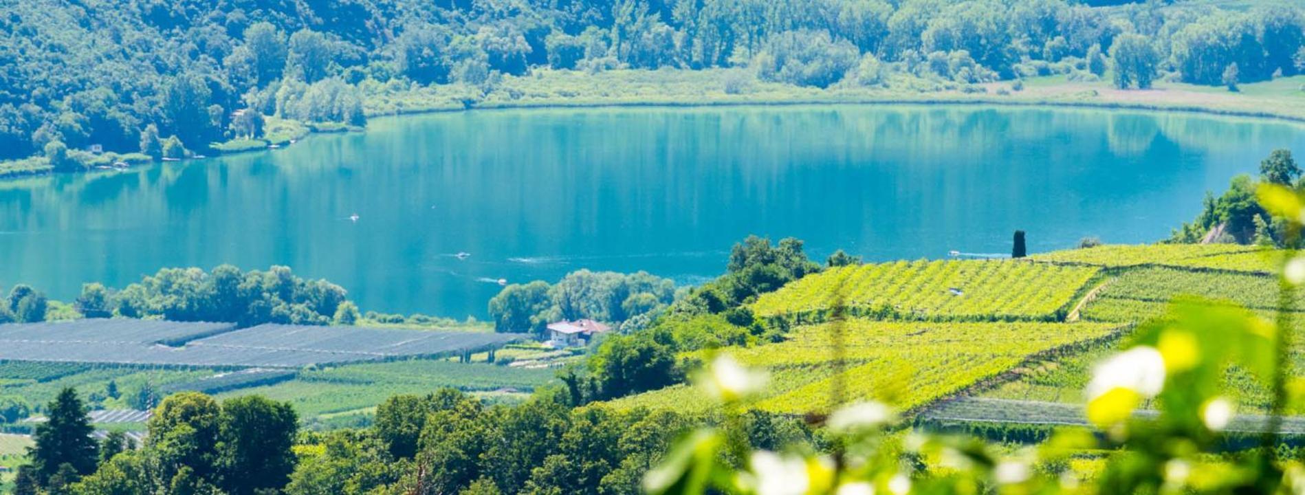 Haus Pobitzer Daire Caldaro Dış mekan fotoğraf